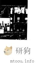 金奖之路 民权葡萄酒厂成功之秘诀 1989 PDF电子版封面 7534801869 母青松,李广瑞主编