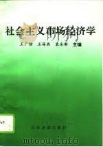 社会主义市场经济学（1995 PDF版）