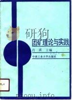 团矿理论与实践（1991 PDF版）
