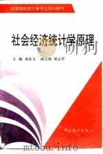 社会经济统计学原理（1996 PDF版）