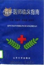 青年医师临床指南（1995 PDF版）