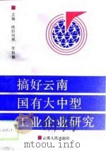 搞好云南国有大中型工业企业研究（1994 PDF版）