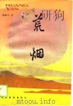 荒烟 1990 PDF电子版封面 7503905174 沈贻炜著