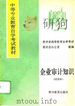 企业审计知识  试用本（1994 PDF版）