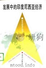 发展中的印度尼西亚经济（1995 PDF版）