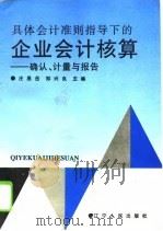 具体会计准则指导下的企业会计核算 确认、计量与报告 1996 PDF电子版封面 7205036496 庄恩岳,郑兴良主编