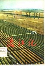 渡“江”记 河北省正定县人民学大寨赶昔阳的经验 1975 PDF电子版封面 史镝著