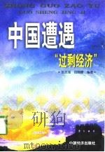 中国遭遇“过剩经济”（1999 PDF版）