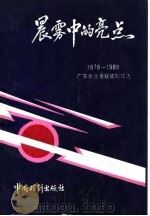 晨雾中的亮点 1978年-1988年广东省业余获奖剧作选 1990 PDF电子版封面 7104002383 中国戏剧家协会广东分会,广东省群众艺术馆编