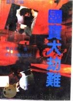 国宝大劫难（1991 PDF版）