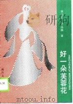 好一朵芙蓉花（1990 PDF版）