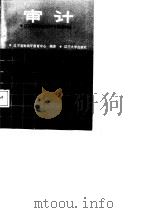 审计（1988 PDF版）