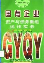 国有企业资产与债务重组运作实务（1998 PDF版）