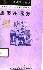 流浪在远方（1990 PDF版）