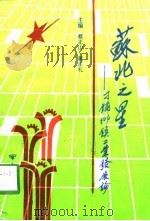 苏北之星  刁铺乡镇工业发展论（1991 PDF版）