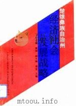 楚雄彝族自治州经济社会发展战略（1992 PDF版）
