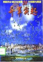 异军突起  贵阳市乡镇企业发展20年回顾与展望（1998 PDF版）