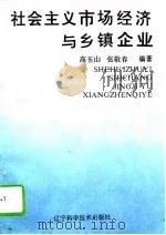 社会主义市场经济与乡镇企业（1994 PDF版）