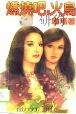 燃烧吧，火鸟（1988 PDF版）