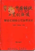 攀钢：中国钢铁工业的骄傲  攀枝花钢铁公司发展史论（1994 PDF版）