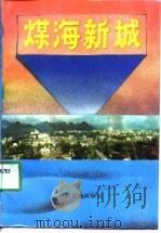 煤海新城（1991 PDF版）