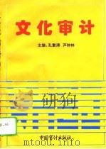 文化审计（1995 PDF版）