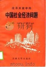 改革开放中的中国社会经济问题（1990 PDF版）