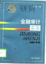 金融审计实务（1993 PDF版）