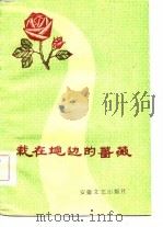 栽在地边的蔷薇（1984 PDF版）