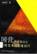 国营大中型企业领导艺术与管理技巧 1992 PDF电子版封面 7805656630 冯继斌著