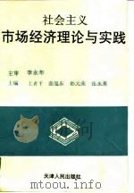 社会主义市场经济理论与实践（1996 PDF版）