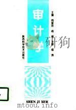 审计学（1998 PDF版）