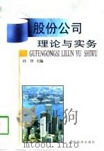 股份公司理论与实务（1998 PDF版）