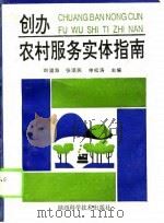 创办农村服务实体指南 1994 PDF电子版封面 7536919964 刘溢海等主编