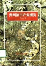 贵州第三产业概览  1（1997 PDF版）