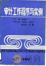 审计工作程序与实例（1990 PDF版）