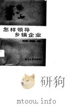 怎样领导乡镇企业（1989 PDF版）