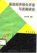 县级经济综合开发与发展研究（1989 PDF版）