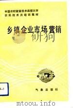 乡镇企业市场营销（1993 PDF版）