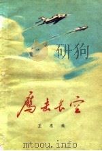 鹰击长空（1977 PDF版）