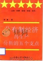 公有制经济再生产分析的五个支点 主体、积累、实现、市场、货币 1993 PDF电子版封面 7222011722 韩康著