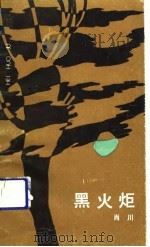 黑火炬（1990 PDF版）