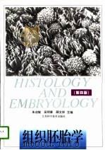 组织胚胎学 第4版 1997 PDF电子版封面 7534500206 朱启锭等主编