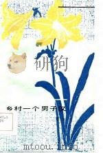 乡村一个男子汉（1985 PDF版）