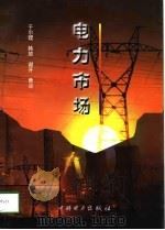 电力市场（1998 PDF版）