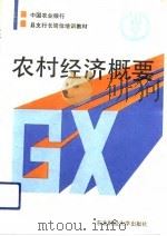 农村经济概要（1991 PDF版）