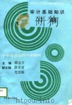 审计基础知识习题（1995 PDF版）