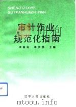 审计作业规范化指南（1993 PDF版）