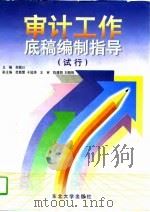 审计工作底稿编制指导  试行（1996 PDF版）