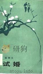 试婚 1986 PDF电子版封面 10456·16 杨振文著